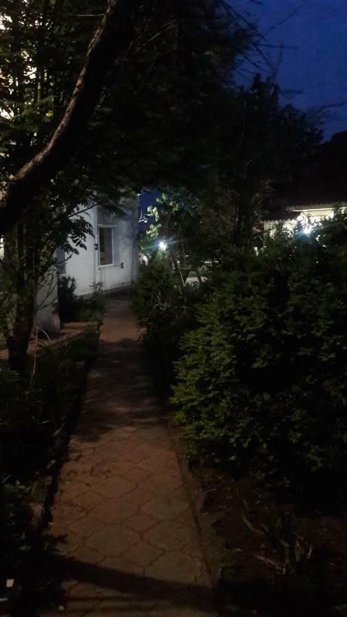 Motel Beregynya Yuzhnoukrainsk Exteriér fotografie
